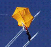 Sky High Antenna Kites